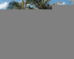 Alii Kai Resort resort