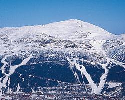 Multipropietà appartamento