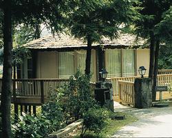 Brassie Knob Villas at Sky Valley resort