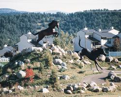 Champions Run Condominiums resort