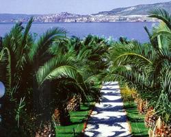 Clara Hotel alloggio