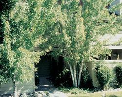 Club Lakeridge resort