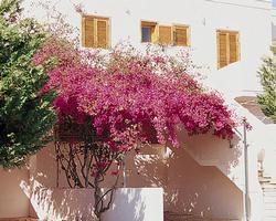 Costa del Salento Village resort