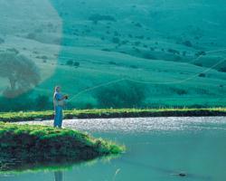 Apartamento timesharing