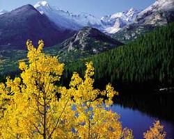 Multipropietà appartamento