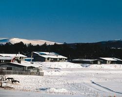 Fj&auml;llbyn resort