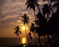 Grand Nirvana Holiday Resorts resort