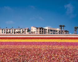 Grand Pacific Palisades resort