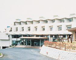 Hotel Ambient Izukogen Annex alloggio