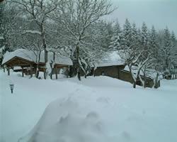 Il Feliceto logement