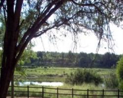 Jackalberry Ridge resort