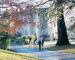 Kilconquhar Estate and Country Club resort