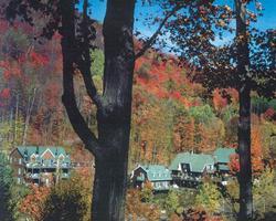 La Voliere du Mont Tremblant logement