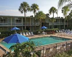 Magic Tree Resort resort