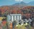 MountainLoft 
apartamento timesharing 
Tennessee (Estados Unidos)