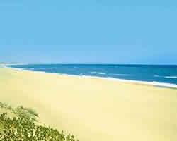 Mtunzini Forest Lodge resort