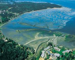 Pacific Shores Resort and Spa alloggio