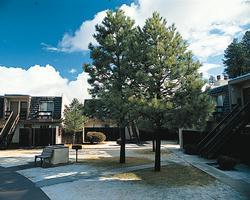 Pinecliff Village resort