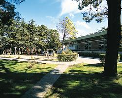 RCT Club Vacacional resort