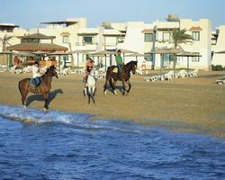 Royal Beach Resort acomodação