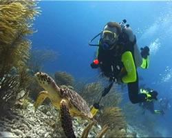 Sea-Side Vacation Club and Yacht Club Vacations acomodação