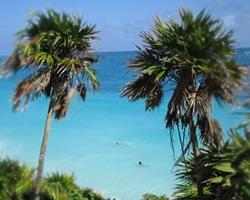 Sole Vacation Club at La Mansion resort