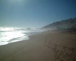 South Pacific Club Renaca resort