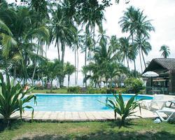 Tangeri Chalets acomodação