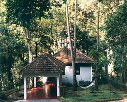 The Tall Trees - Munnar complejo