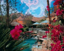 Vacation Internationale The Oasis resort