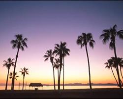 Vallarta Ocean Towers resort