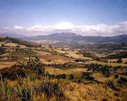 Villas de Palo Alto Vacation Resort resort