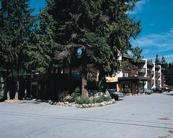 Whistler Resort & Club resort