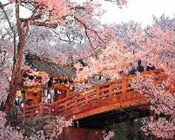 XIV Tateshina resort